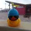 Barbara Willard - @user320288874107 - TikTok