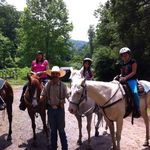 Barbara Willard - @bwillard0456 - Instagram