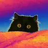 Barbara Willard - @user4049150155200 - TikTok