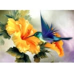 Barbara Willcut - Facebook