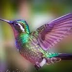 Barbara Willcut - Facebook