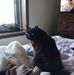 Barb Willenbring - Facebook