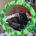 Barbara Willenbring - Facebook