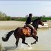 Barbara Willers - Facebook