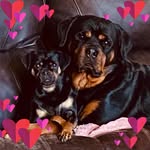 Barbara Willette - @barbarawillette6 - Instagram