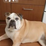 Barbara Willetts - @barbarawilletts - Instagram