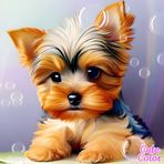 Barbara Willette - Facebook