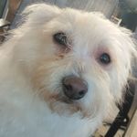 Barbara Willick - @barbara.willick.14 - Instagram