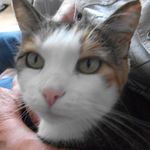 Barbara Wimmer - @barbara.wimmer.71 - Instagram