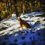 Barbara Wimmer - @barbara_wimmer_85 - Instagram