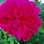 Barbara Wimmer - @barbara.wimmer.5623 - Instagram