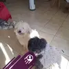 barbarawimmer89 - @barbarawimmer89 - TikTok