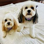 Barbara Smith Winborne - @babsw2000 - Instagram