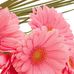 Barbara Wind - Facebook