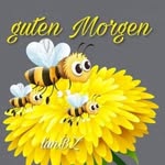 Barbara  Windler - @barbarawindler58 - Instagram