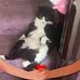 Barbara Windle - Facebook