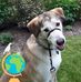 Barbara Windle - Facebook
