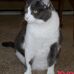 Barbara Wineinger - Facebook