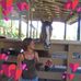 Barbara Shelly Winfrey - Facebook