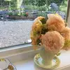 Barbara Wingrove - @barbarawingrove - TikTok