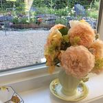 Barbara Wingrove - @barbara.wingrove.92 - Instagram