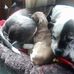Barbara Winn - Facebook