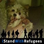 Barbara Wirth - @wonderwoman_wrigglesworth - Instagram
