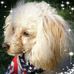 Barbara Wirth - Facebook