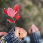 Barbara Wirth - @kaktus1175 - Instagram