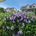 Barbara Wirthmann - Facebook
