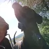 Barbara.Wirth - @barbara.wirth - TikTok