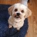Barb Wissler - Facebook