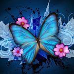 Barbara Woolard - @woolardbarbara0 - Instagram