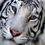 Barbara Würsten - @barbarawursten - Instagram