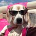 Barbara Wurstner - Facebook