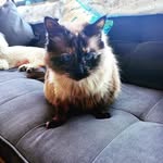 Barbara Wyss - @wyss8020 - Instagram