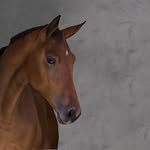 Barbara Wyss - @barbara.wyss.3382 - Instagram