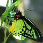 Barbara Yarbrough - @yardbird1138 - Instagram