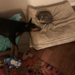 Barbara Yarbrough - @simba555_ - Instagram
