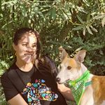 Ayudanimal - @barbarayudanimal - Instagram