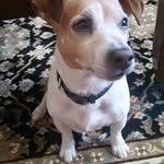 Barbara Zanatta Collazo - @babs4518 - Instagram