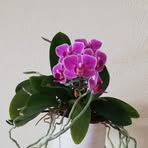 Barbara Zanelli - Facebook
