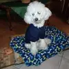 Barbara Zangari45 - @barbara.zangari - TikTok
