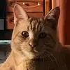 Barbara Zanini - @barbarazanini0 - TikTok
