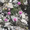 Barbara Zanni - @barbara.zanni6 - TikTok