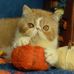 Barbara Zanoni - Facebook