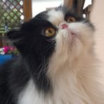Barbara Zanoni - @barbara.zanoni.568 - Instagram