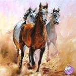 Barbara Zanoni - @zanoni_barbara - Instagram