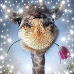 Barbara Zappa - @barbarazappa30 - Instagram