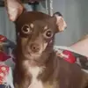 Barbara Zarate - @barbara.zarate - TikTok